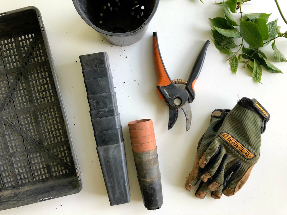 gardening tools on white background