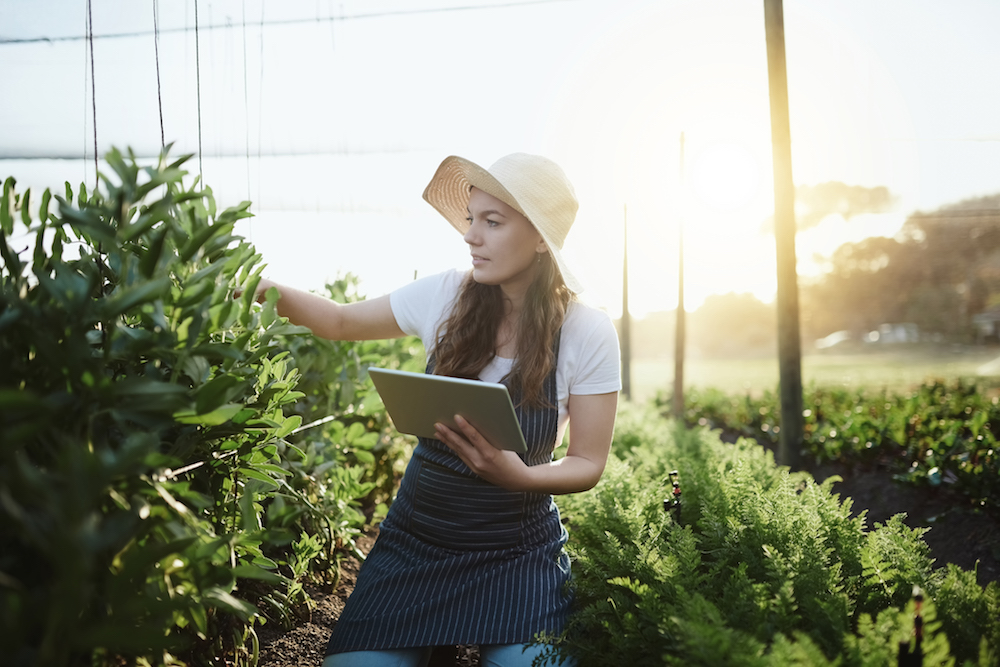 woman in garden holding silver tablet