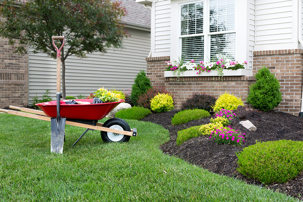 Lansdscaping around a house