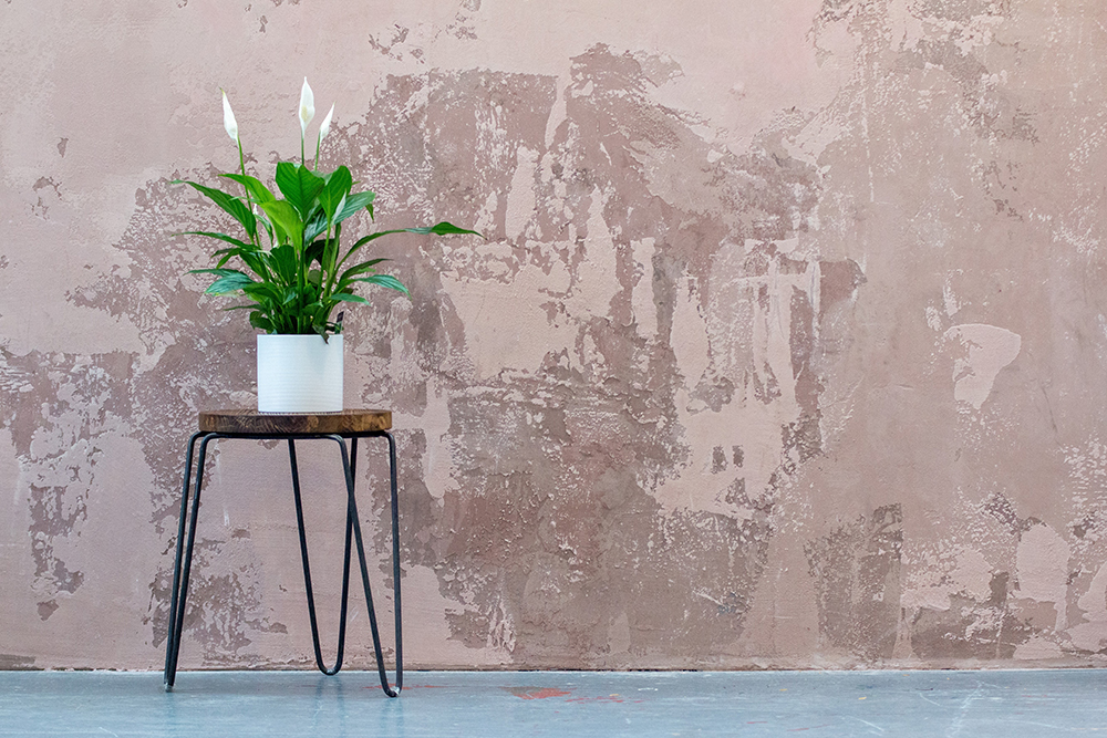 Peace lily in a white pot sitting on a table with hairpin legs.