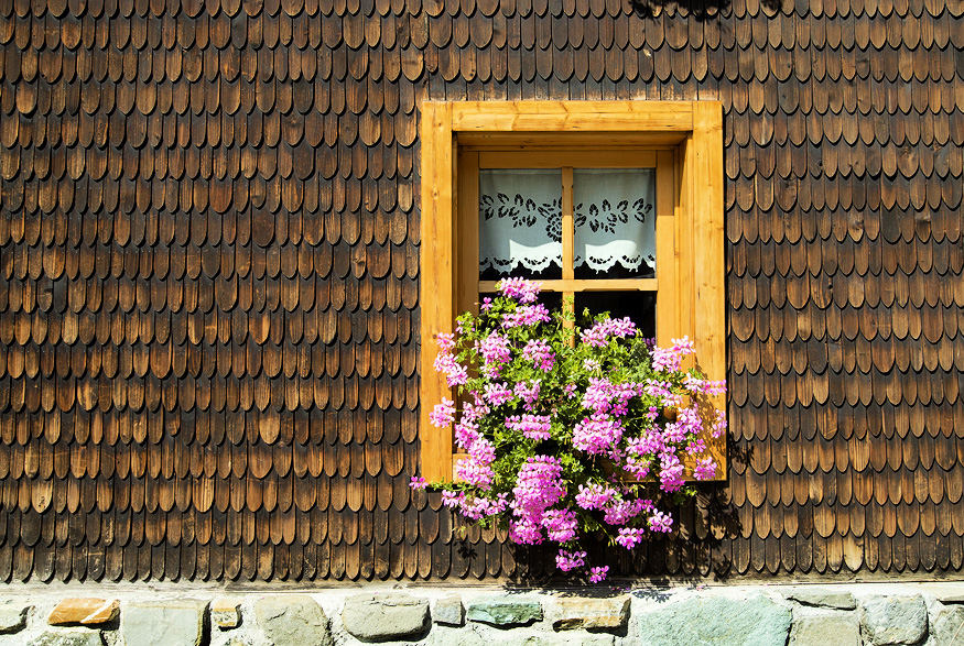 Purple flowers in a window flower bed