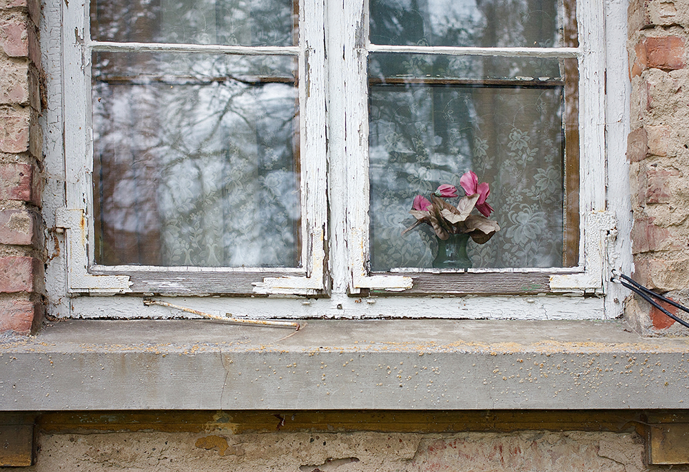 Close-Up Of Pink Window