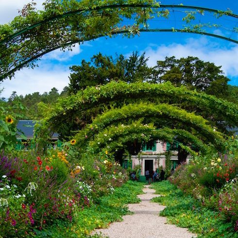 Native Canadian Plants - Colourful garden with lots of green plants