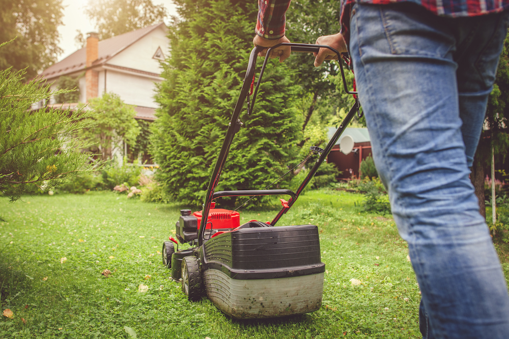 man in plaid shirt mowing green grass