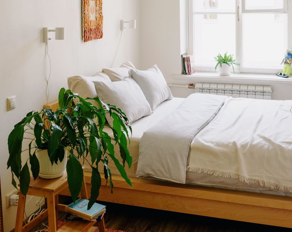 bedroom with a bed and plant next to it