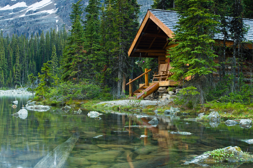 Cottage in the woods