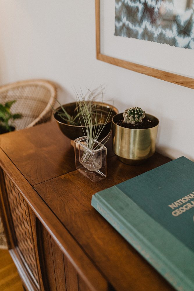 Air plant in a glass jar on a wooden table. Beside the air plant is a cactus in a gold pot.