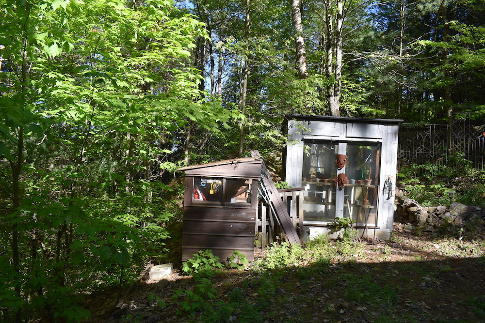 green forested yard with old garden shed