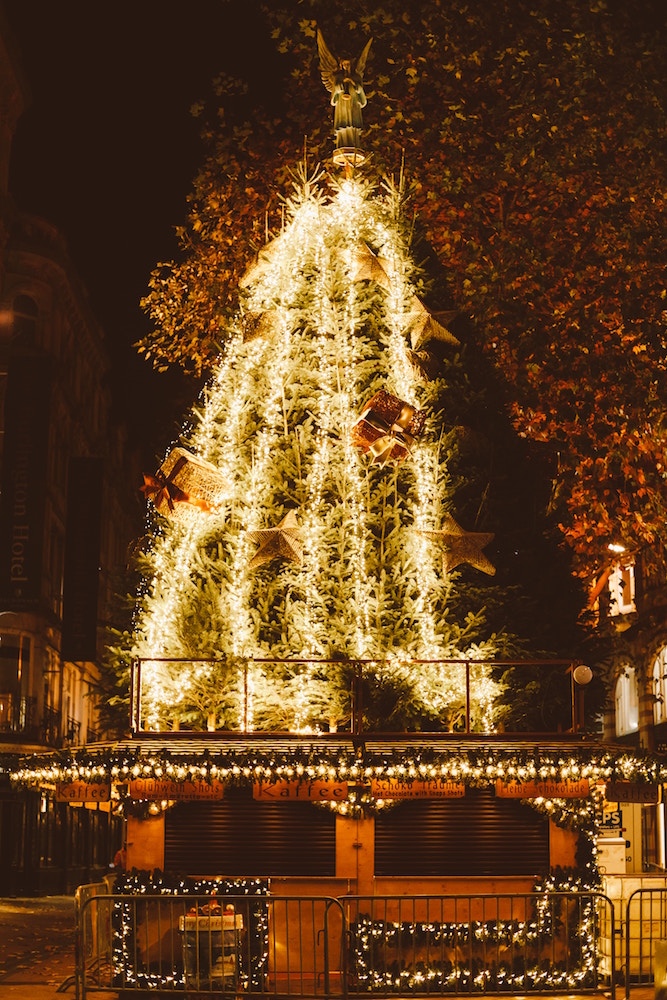 white lights on Christmas tree on top of roof of coffee shop