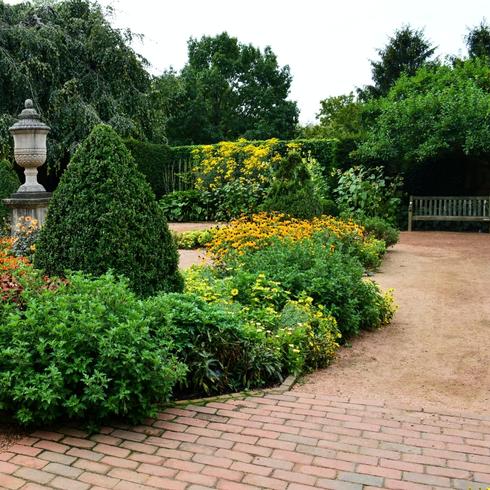 A front yard with landscaping and trees