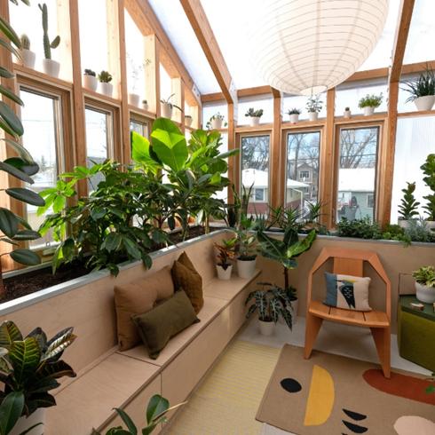 Bright sunroom with plants