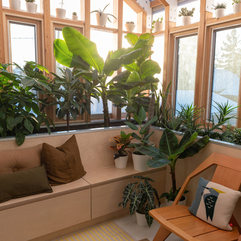 A shot of an indoor sunroom