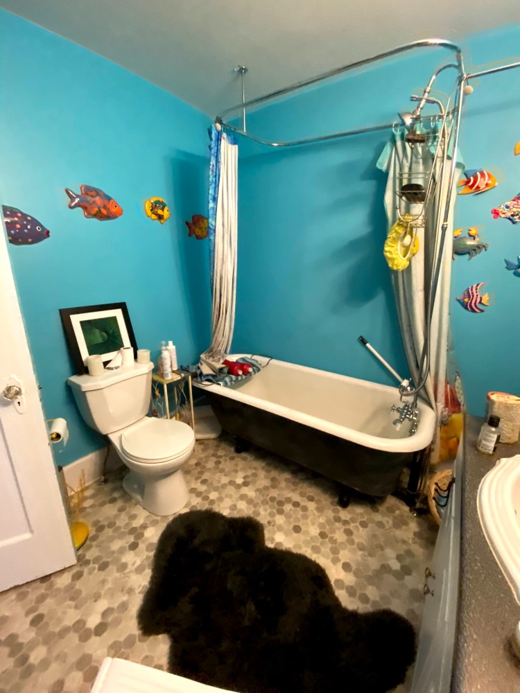 Old bathroom with cool standing tub