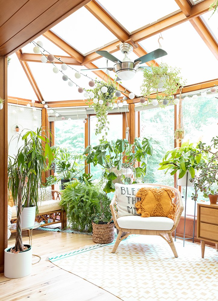 comfy chair in plant-filled sunroom