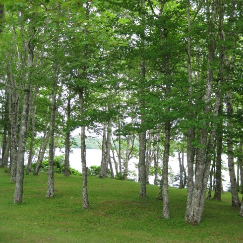 National park in Yarmouth Nova Scotia