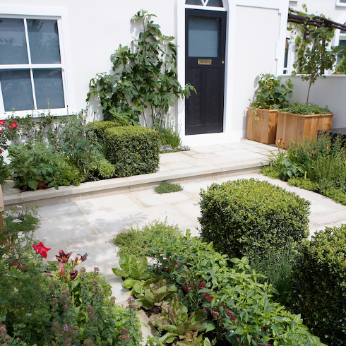 A neat vegetable patch growing on a hardscaped front yard