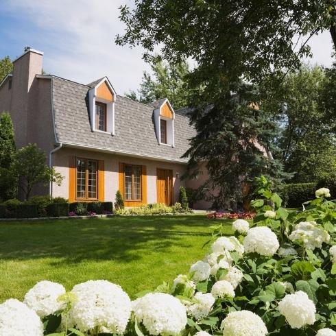 A lush front garden with white flowers and beautiful green grass