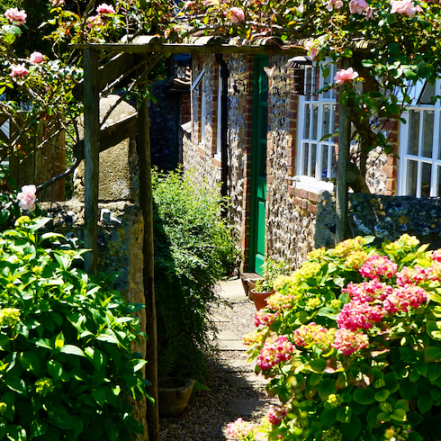 A lush front garden with a wooden trellis and plants growing around it