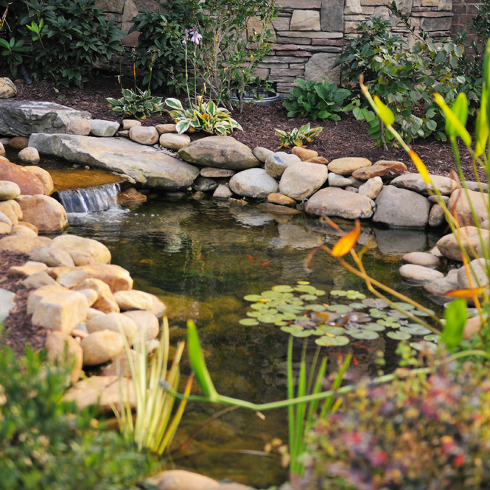 A water feature in a front yard