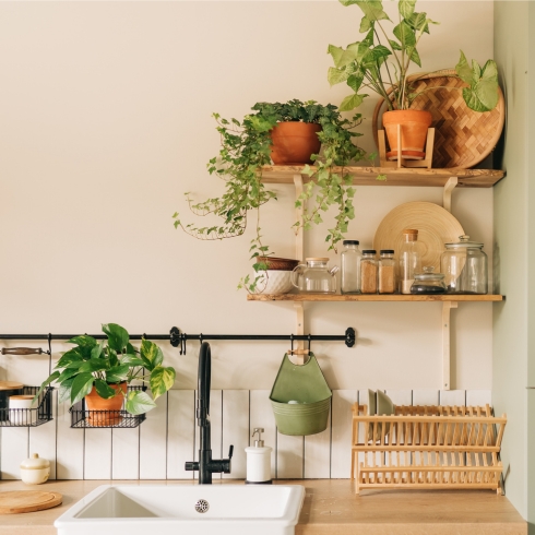 Potted plants on wooden shelves above a sink.