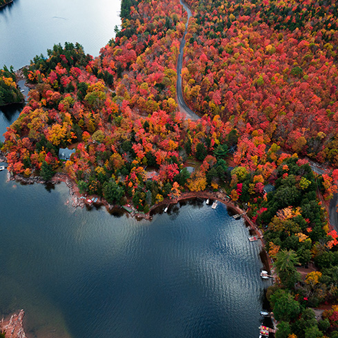 autumn in rural ontario