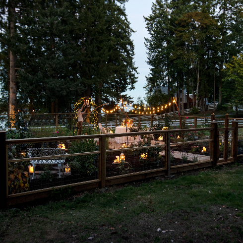 The rose garden at night