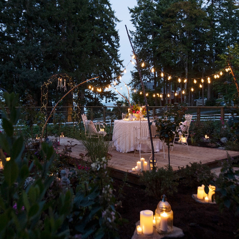 A shot of the rose garden at night