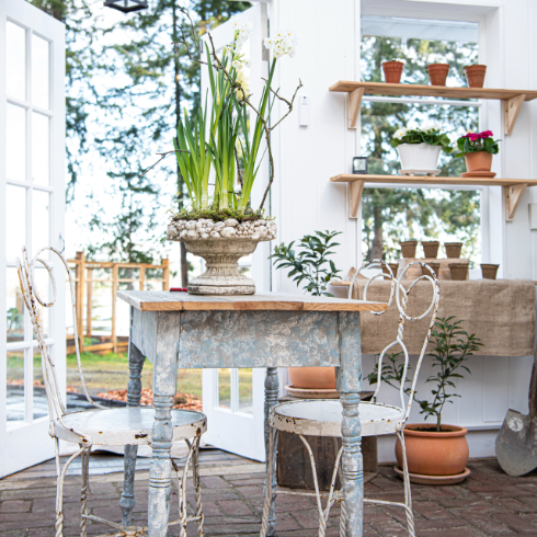 Vintage ice cream parlour chairs and a table set up inside The Potting Shed