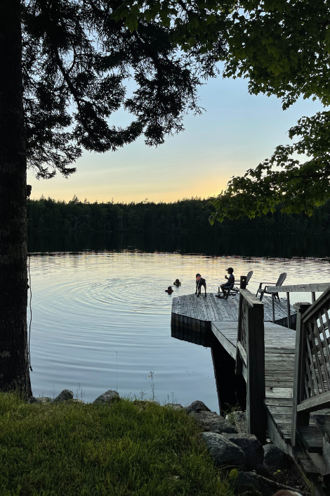 sunset behind the treeline behind a lake