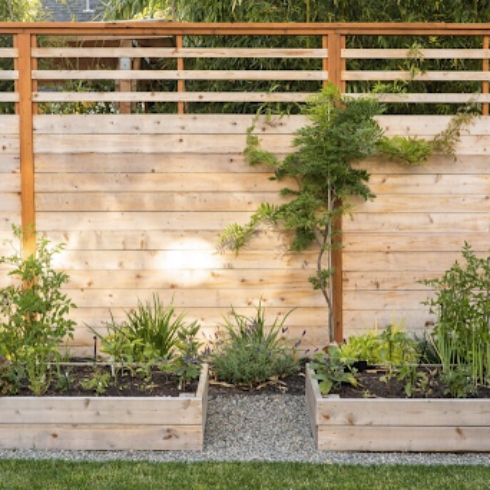 Vegetable garden