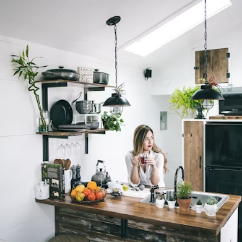 Kitchen with open shelves and plants