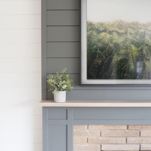 Living room with shiplap accent wall