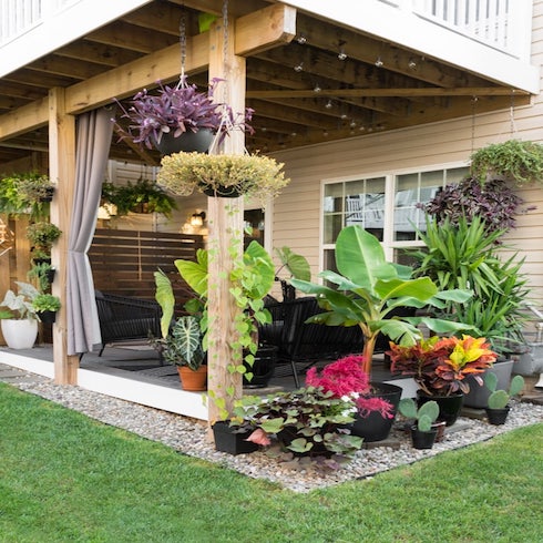 Rock landscaping backyard with plants