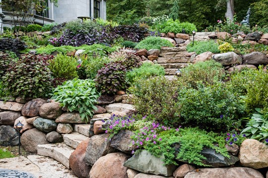 Rocky landscaping in backyard