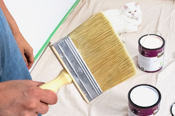 Close-up shot of thick paintbrush with white paint in background