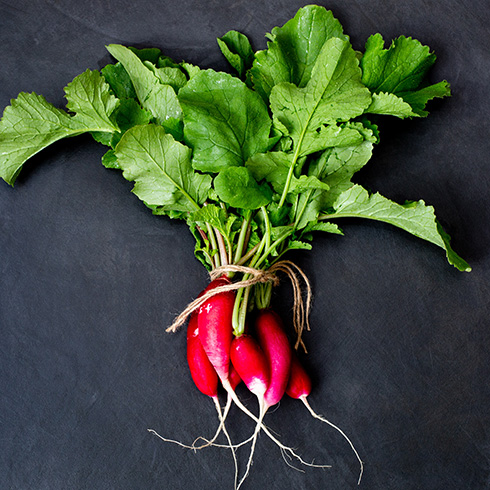 Overhead view of a bunch of radishes lying on a black background