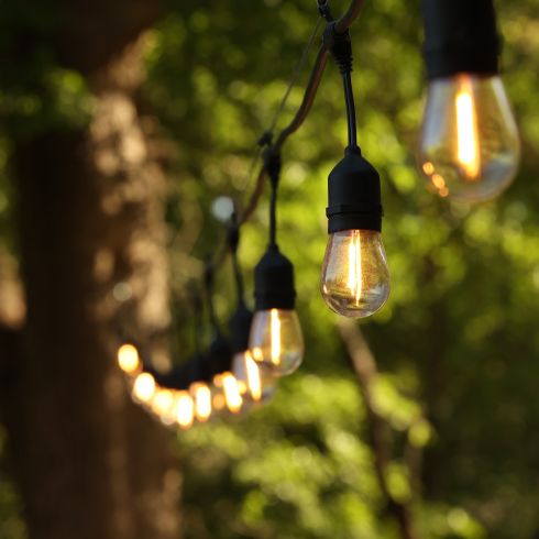 string lights tied to a tree close-up in summer.