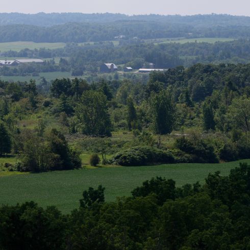 Rattlesnake Point Conservation Area in Milton, Ontario