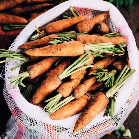 Bag a fresh carrots covered in dirt from the garden.