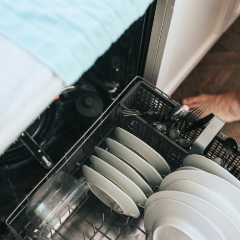 Dishwasher with clean white plates being unloaded