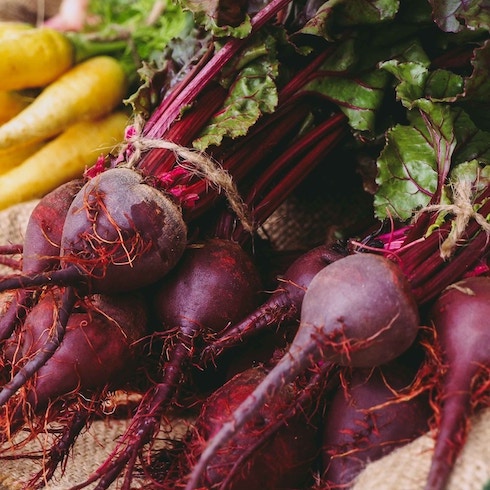 Bundles of fresh red beets