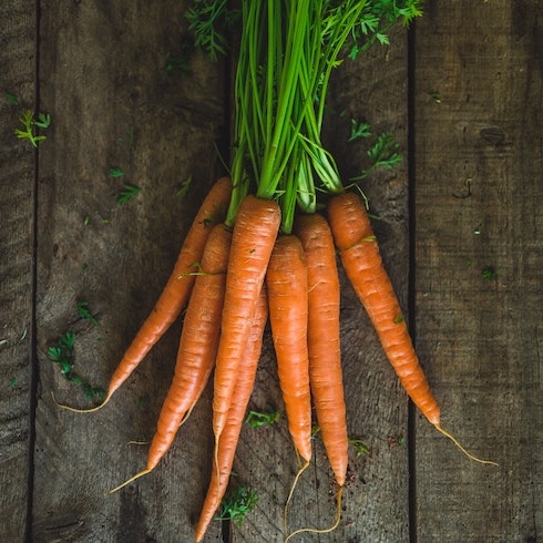 A pile of orange carrots with green tops