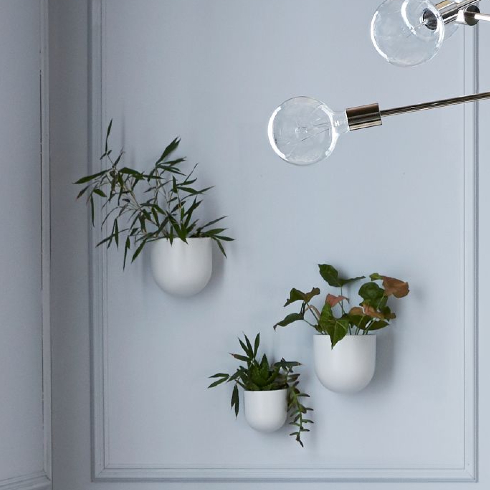 A grey living room wall with panelling and three wall-mounted planters