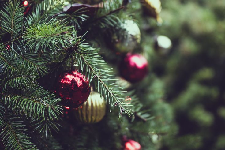 Gold and red christmas ornaments hanging from evergreen tree