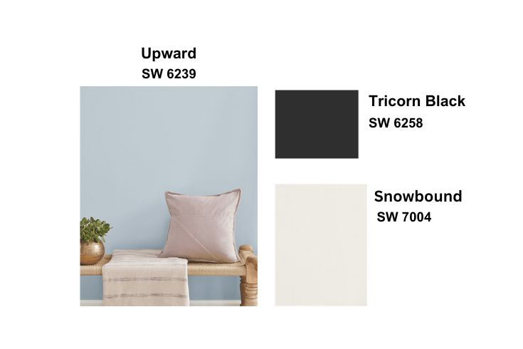 Paint colour palette for Sherwin Williams 