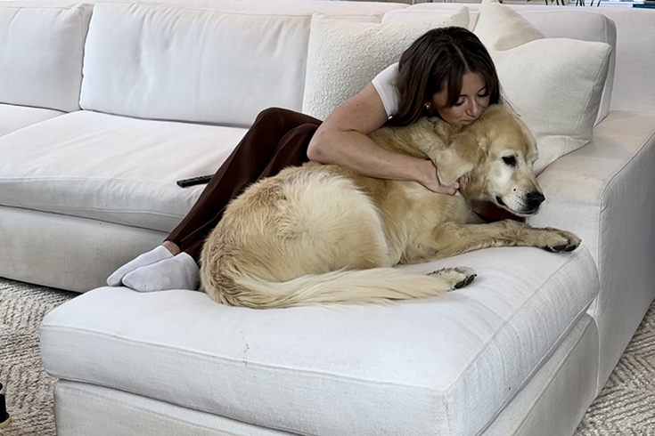 dog on white couch