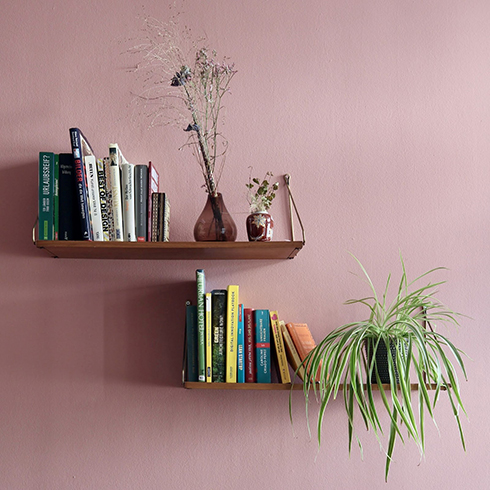 A spider plant sits on one of two floating wooden shelves full of books.