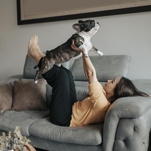 a woman pet owner bonding time with her pet french bulldog on sofa