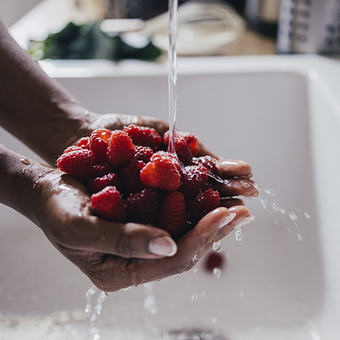 A cropped photo of an anonymous female holding organic fruit under water after their harvest.