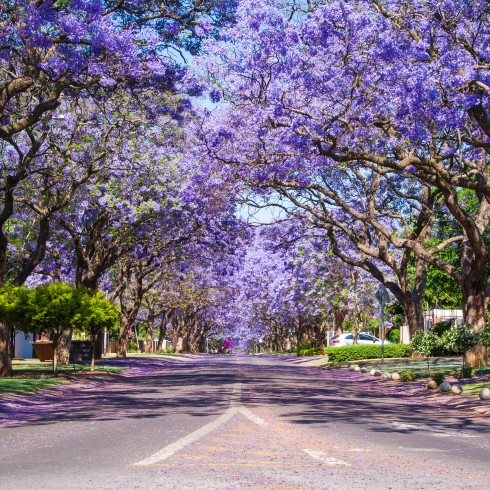 Pretoria, South Africa